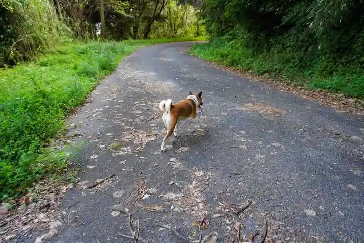 正法寺(山口県)