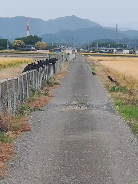 旭稲荷神社の御朱印