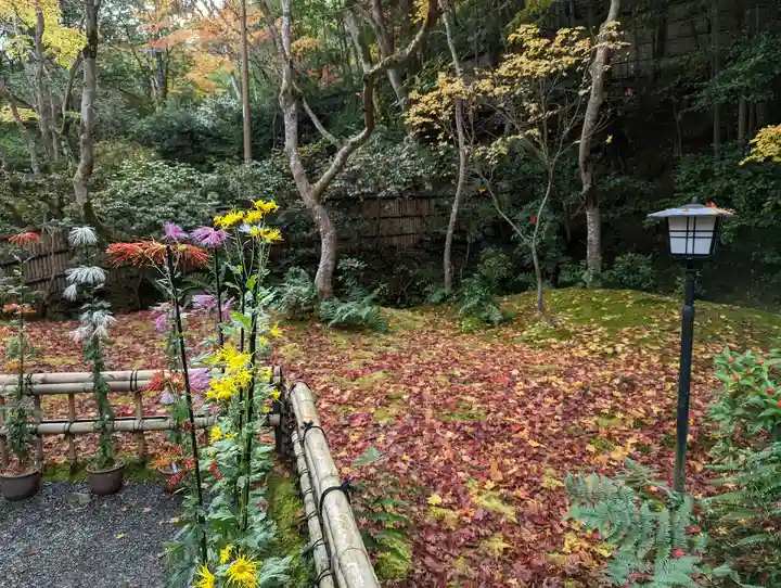 祇王寺(京都府)