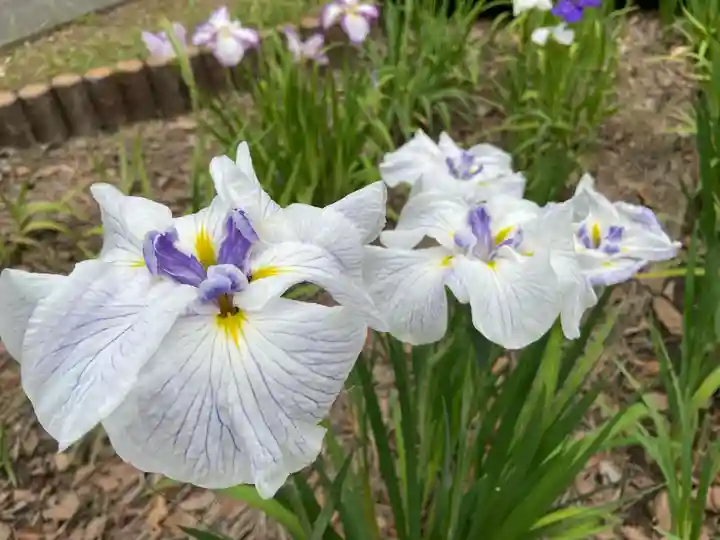 應仁寺(愛知県)