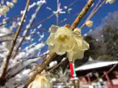 清水寺の自然