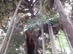 金王八幡宮(東京都)