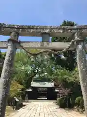 玉祖神社の鳥居