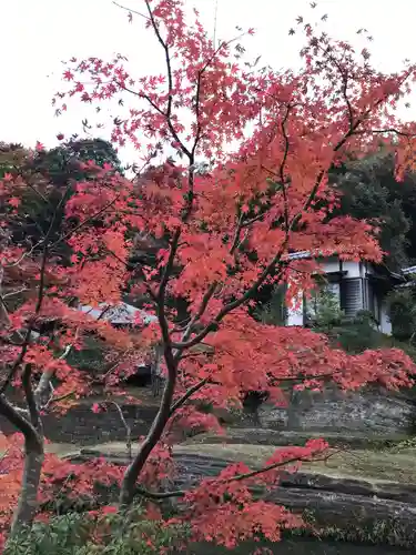 円覚寺の景色