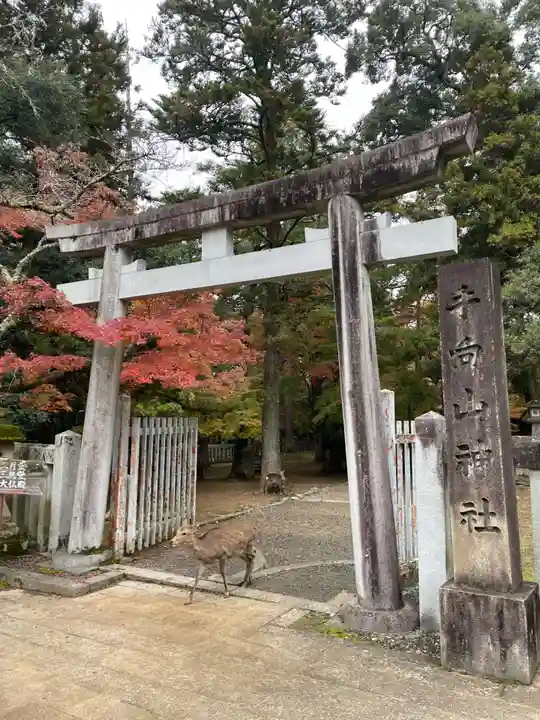 手向山八幡宮(奈良県)