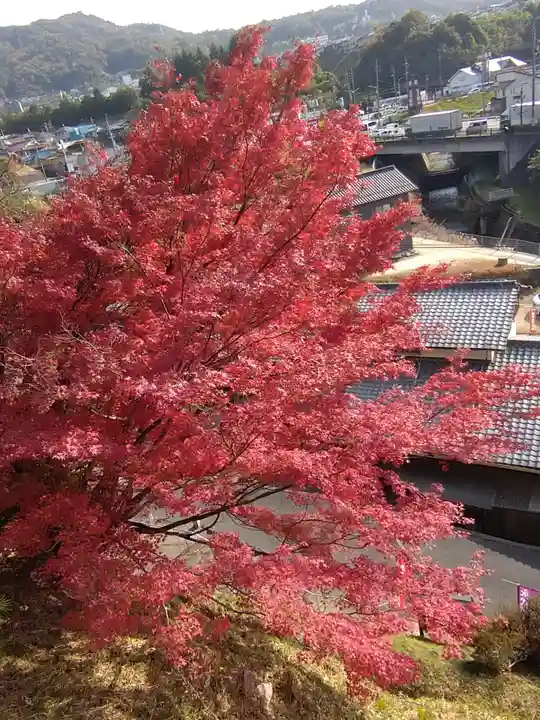 石内のお大師さん 金剛院の自然