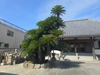 円明寺(和歌山県)