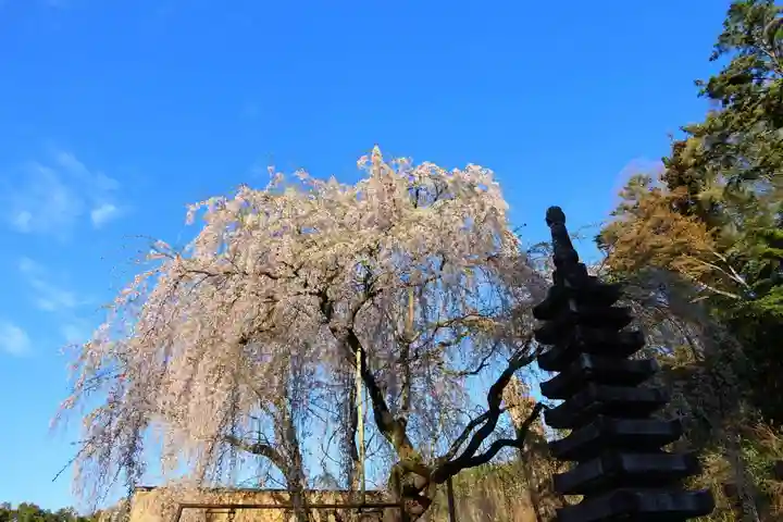 真照寺(福島県)