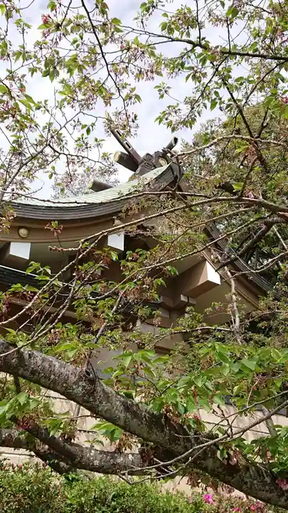 光雲神社の本殿・本堂