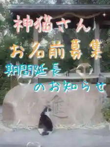 七宮神社(兵庫県)(2023年02月22日(水) 15時40分21秒投稿)