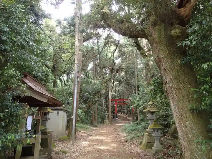 八雲神社の自然