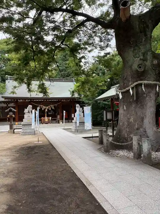 磐井神社(東京都)