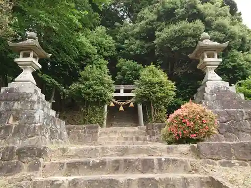 児子社の鳥居