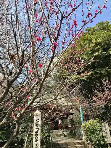 芝東照宮の自然