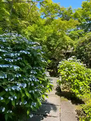 長壽寺（長寿寺）(神奈川県)