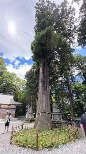 戸隠神社中社(長野県)