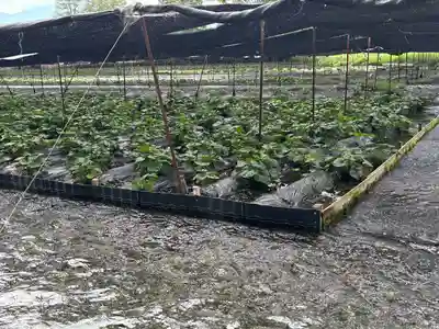 大王神社(長野県)