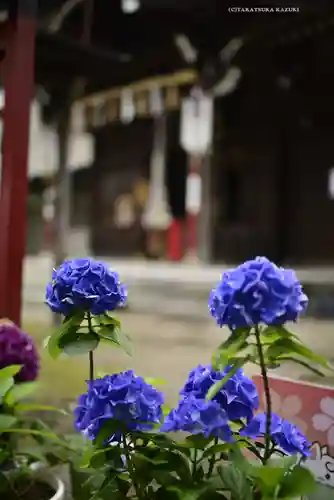 磐井神社の自然