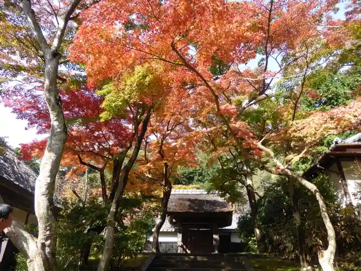円覚寺(神奈川県)
