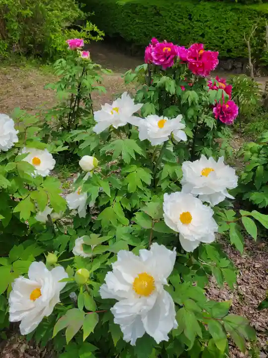 隆国寺(兵庫県)