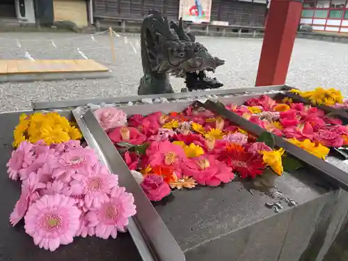 美濃國一宮　南宮大社(岐阜県)