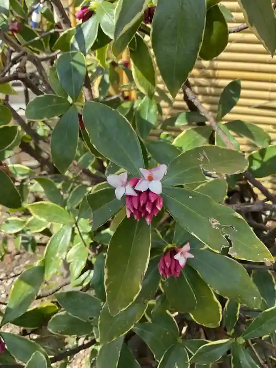 蛇窪神社(東京都)