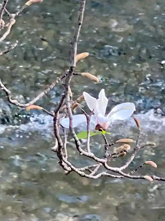 祇園白川辨戝天社(京都府)