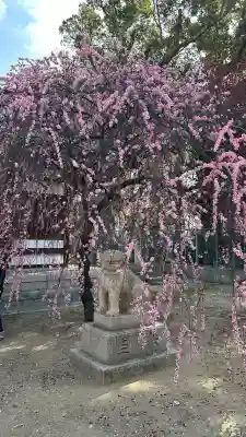 屯倉神社の{uncategorized: "未分類", other: "その他", undefined: "問題あり", building: "その他建物", grave: "お墓", sacred_gate: "鳥居", guardian: "狛犬", statue: "像", buddha: "仏像", history: "歴史", nature: "自然", garden: "庭園", animal: "動物", pagoda: "塔", temizu: "手水舎", mountain_gate: "山門・神門", sanctuary: "本殿・本堂", subordinate: "末社・摂社", art: "芸術", scenery: "景色", jizo: "地蔵", ema: "絵馬", goshuin: "御朱印", omikuji: "おみくじ", items: "授与品その他", amulet: "お守り", goshuincho: "御朱印帳", eats: "食事", festival: "お祭り", votive_dance: "神楽", shichigosan: "七五三参", wedding: "結婚式", experience: "体験その他", initially: "初詣", around: "周辺", anti_infection: "感染症対策"}