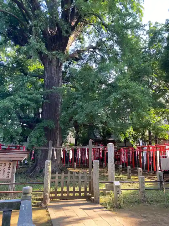 鬼子母神堂 (法明寺)の自然