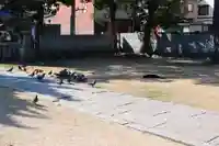 三津厳島神社の動物