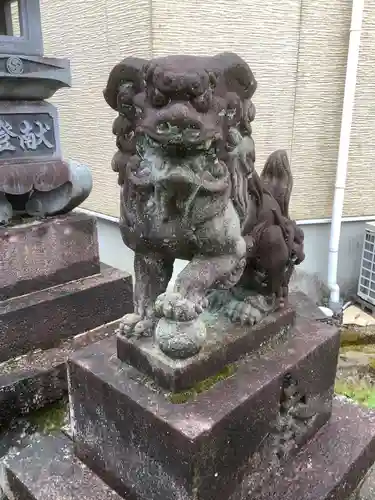 多賀神社（多賀町）の狛犬