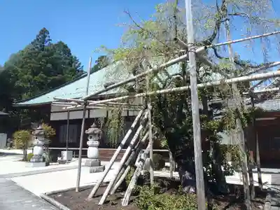 興徳寺(岐阜県)