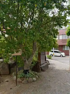 鎮守氷川神社(埼玉県)