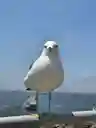 midoさんのプロフィール画像