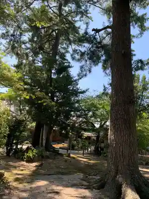 照源寺(三重県)