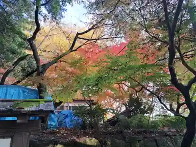 萬寿寺(お不動さん)の自然