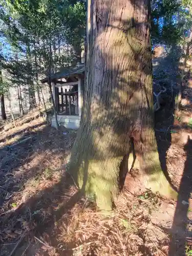 塩釜神社(栃木県)