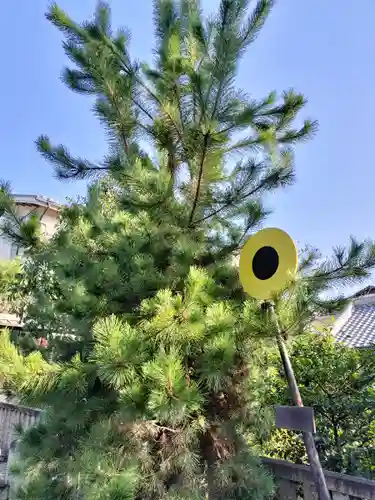 離宮八幡宮(京都府)