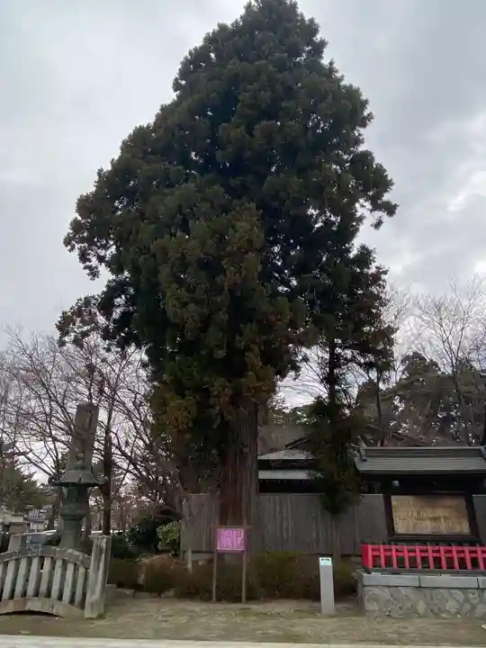 盛岡八幡宮の自然
