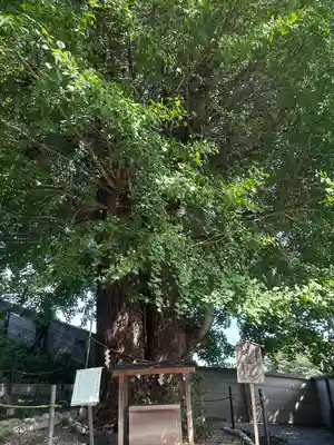 堤治神社(愛知県)