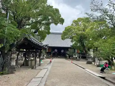 大樹寺（松安院大樹寺）(愛知県)