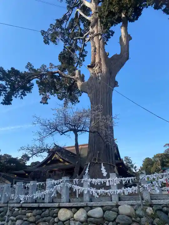 矢奈比賣神社(見付天神)(静岡県)