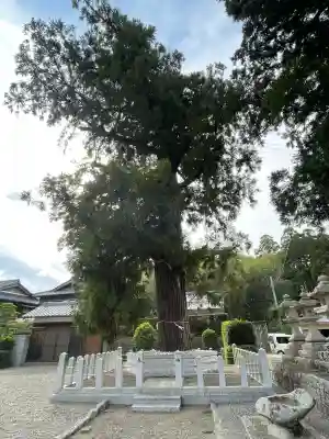 馬見岡綿向神社(滋賀県)