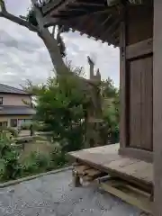 愛宕神社の建物その他