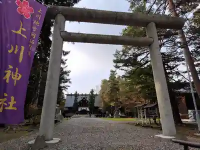 上川神社の鳥居