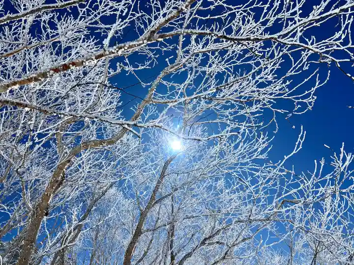 山家神社奥宮の自然