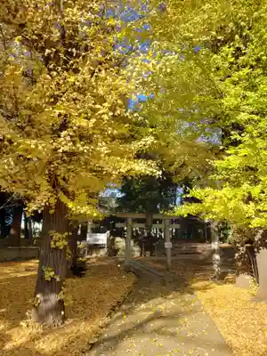 愛宕神社の自然