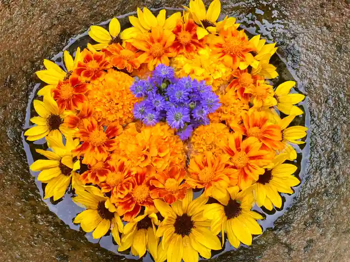 真言宗 善通寺派 薬王寺(香川県)