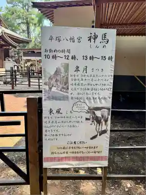 平塚八幡宮(神奈川県)