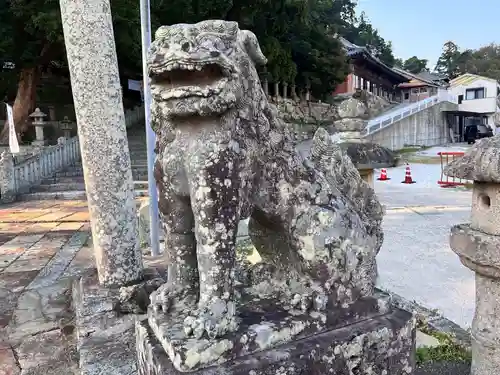 厳原八幡宮神社の狛犬